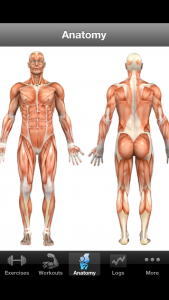 Kroppens anatomi